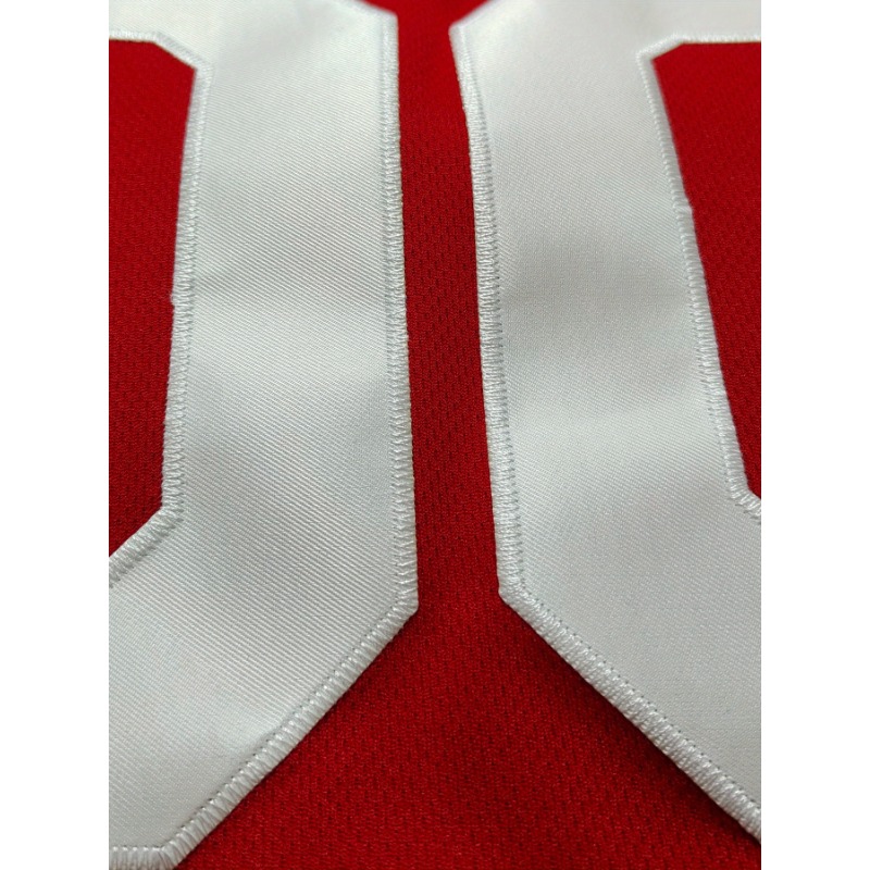 Maglia da basket con nome e nu - Embroidery Names recensione e prezzo